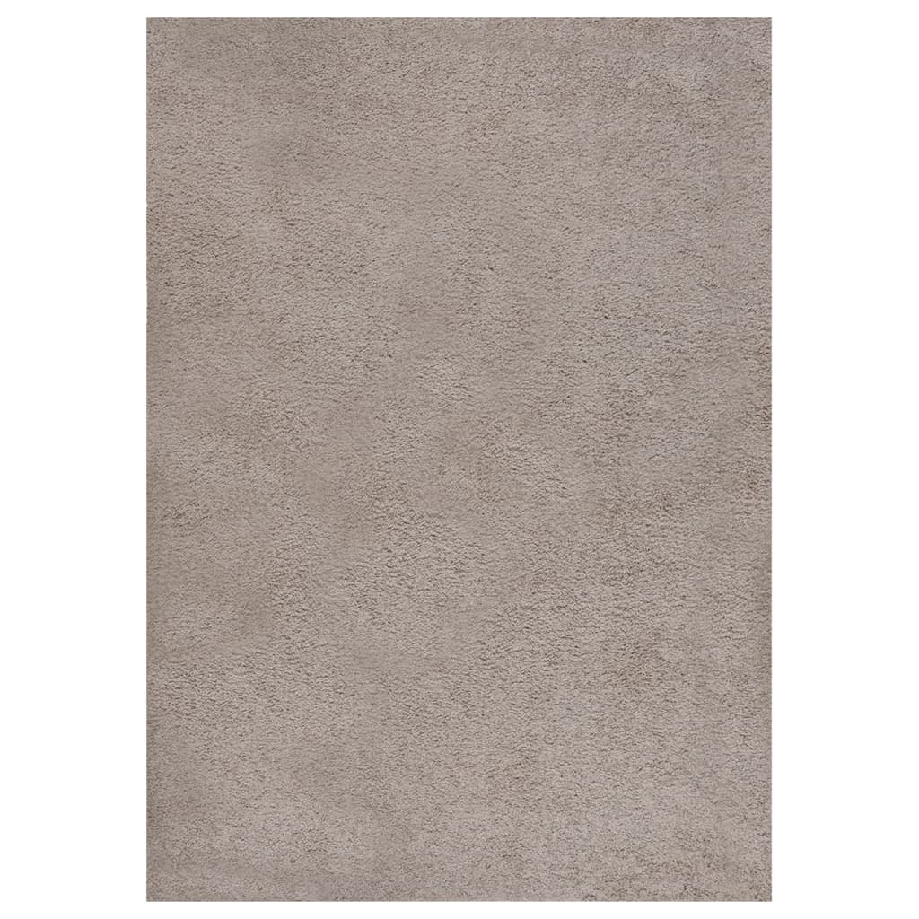 vidaXL Shaggy Rug High Pile Beige 120x170 cm