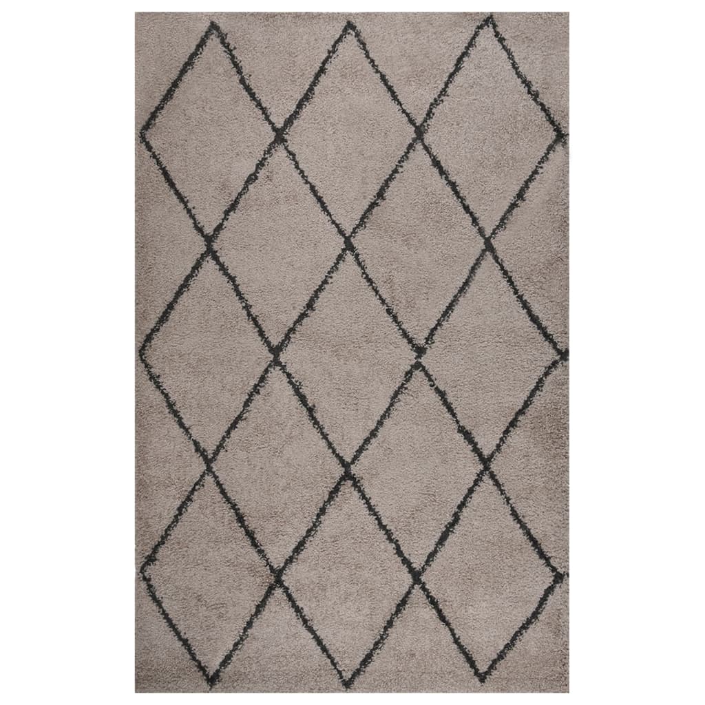 vidaXL Shaggy Rug High Pile Beige and Anthracite 200x290 cm