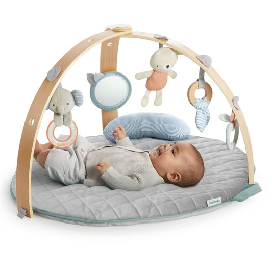 Ingenuity Reversible Activity Gym äóìCozy Spotäó�