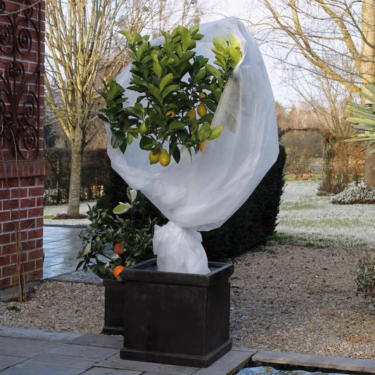 Nature Winter Fleece Cover 30 g/m² White 2x5 m