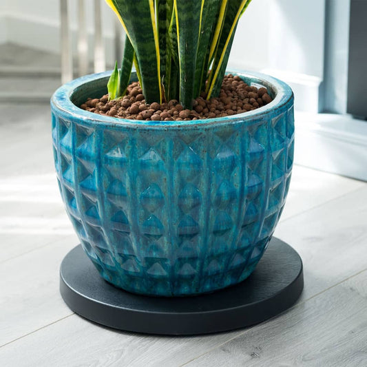 Nature Plant Trolley íÖ39 cm Anthracite