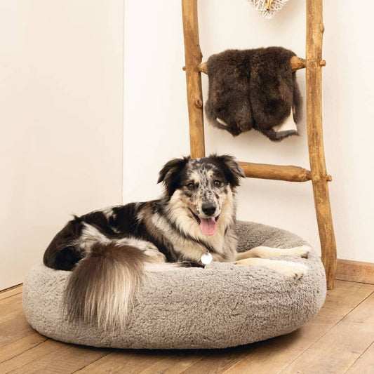 Beeztees Dog Bed Memory Foam Jaxx 50x20 cm Grey