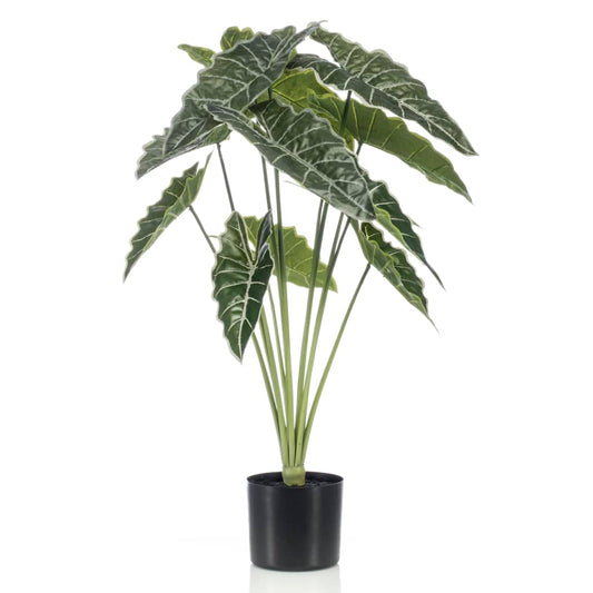 Emerald Artificial Alocasia in Pot 80cm