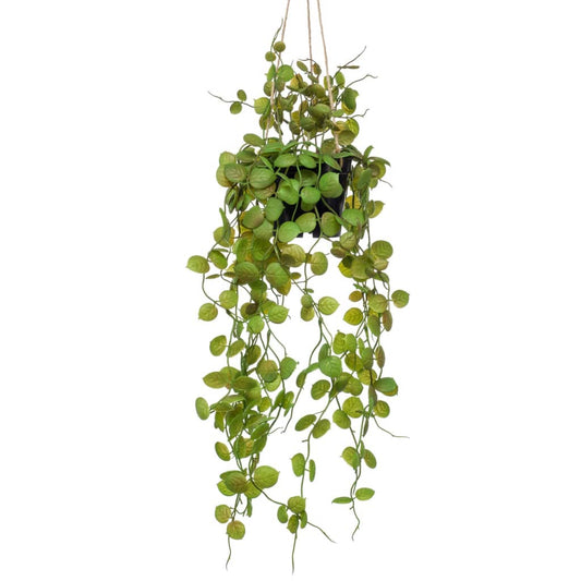 Emerald Artificial Ceropegia Hanging Bush 50 cm in Pot