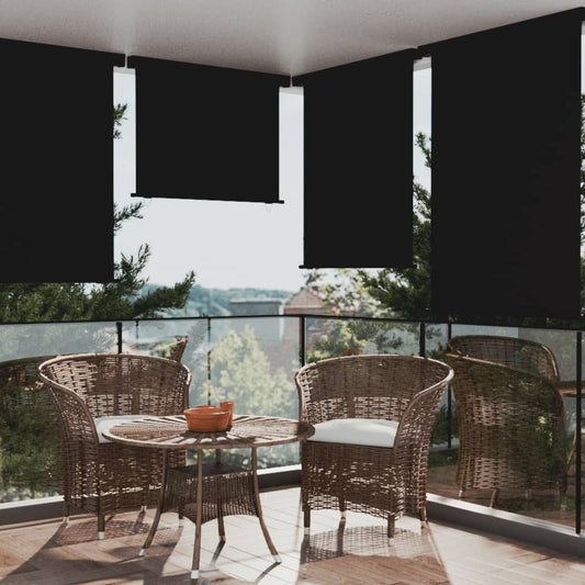 vidaXL Balcony Side Awning 122x250 cm Black