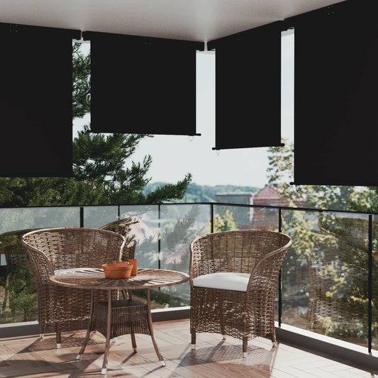 vidaXL Balcony Side Awning 145x250 cm Black