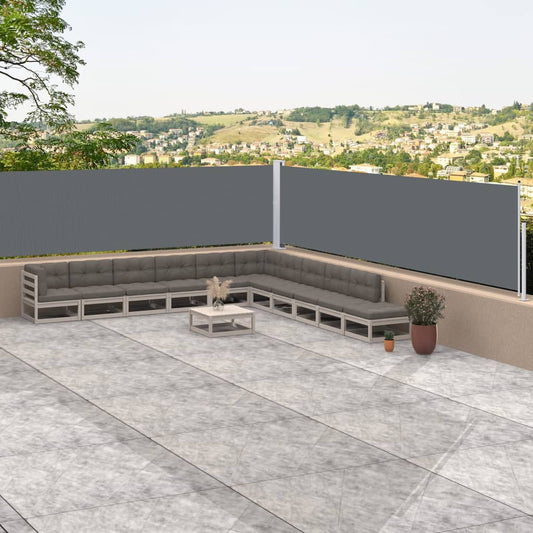 vidaXL Retractable Side Awning Anthracite 117x1000 cm