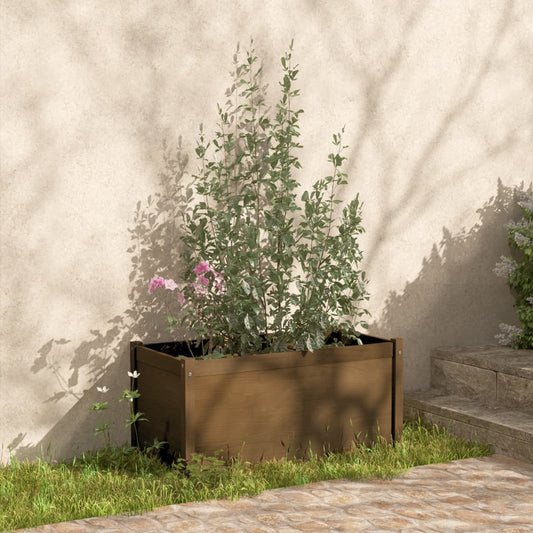 vidaXL Garden Planter Honey Brown 100x50x50 cm Solid Pinewood