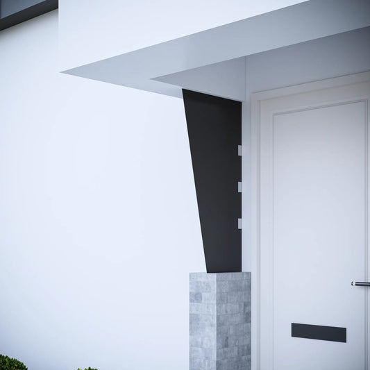 vidaXL Side Panel for Door Canopy Black 50x100 cm Tempered Glass