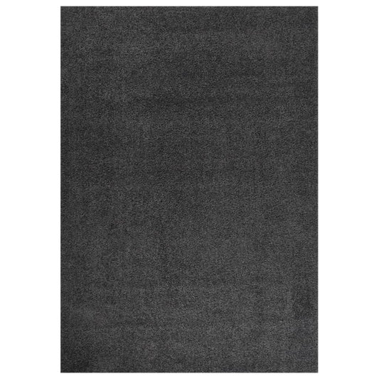 vidaXL Shaggy Rug High Pile Anthracite 120x170 cm