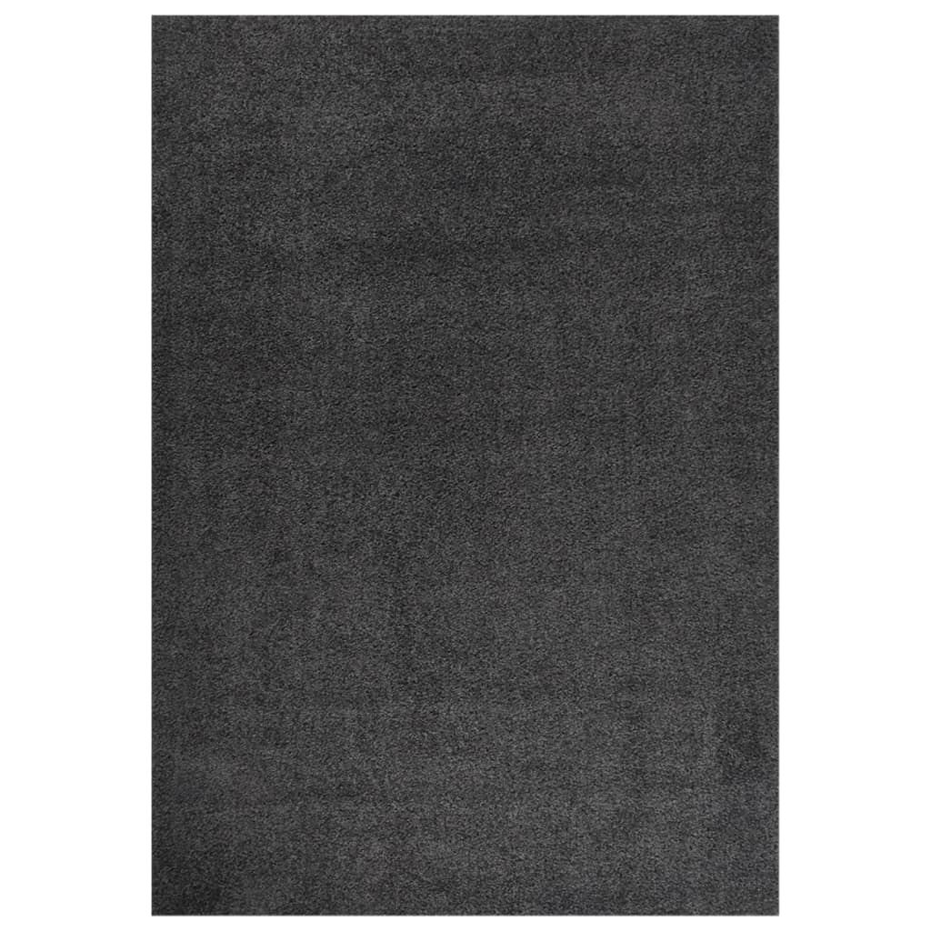 vidaXL Shaggy Rug High Pile Anthracite 140x200 cm