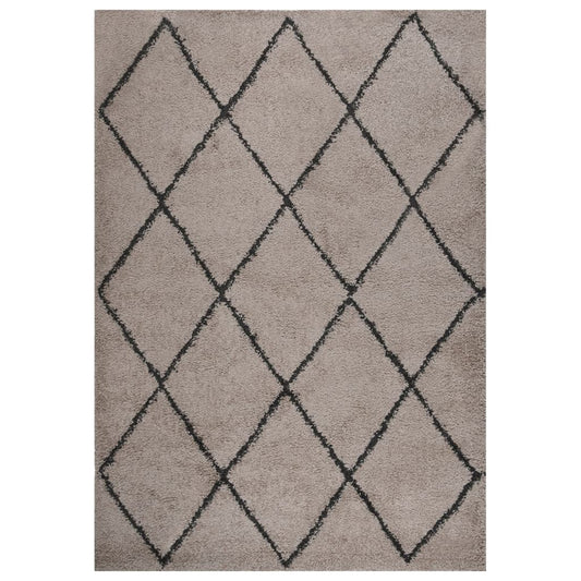 vidaXL Shaggy Rug High Pile Beige and Anthracite 140x200 cm