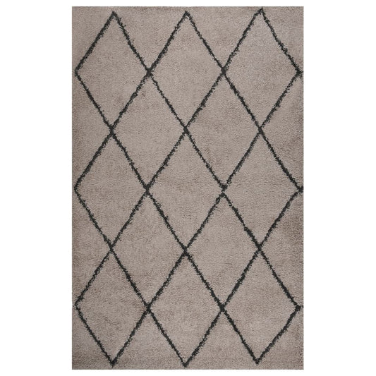 vidaXL Shaggy Rug High Pile Beige and Anthracite 200x290 cm