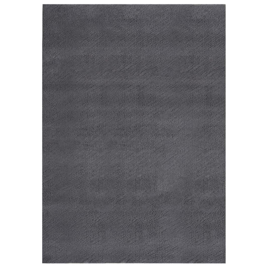 vidaXL Washable Rug Soft Shaggy 120x170 cm Anti Slip Anthracite