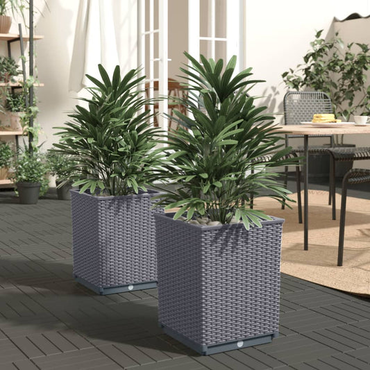 vidaXL Planters 2 pcs Dark Grey 30x30x37 cm Polypropylene