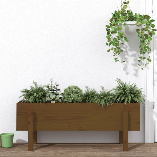 vidaXL Garden Raised Bed Honey Brown 101x30x38 cm Solid Wood Pine
